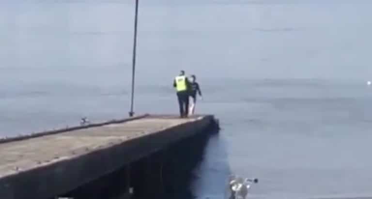 This Police Chase Video Has The Best Ending Ever