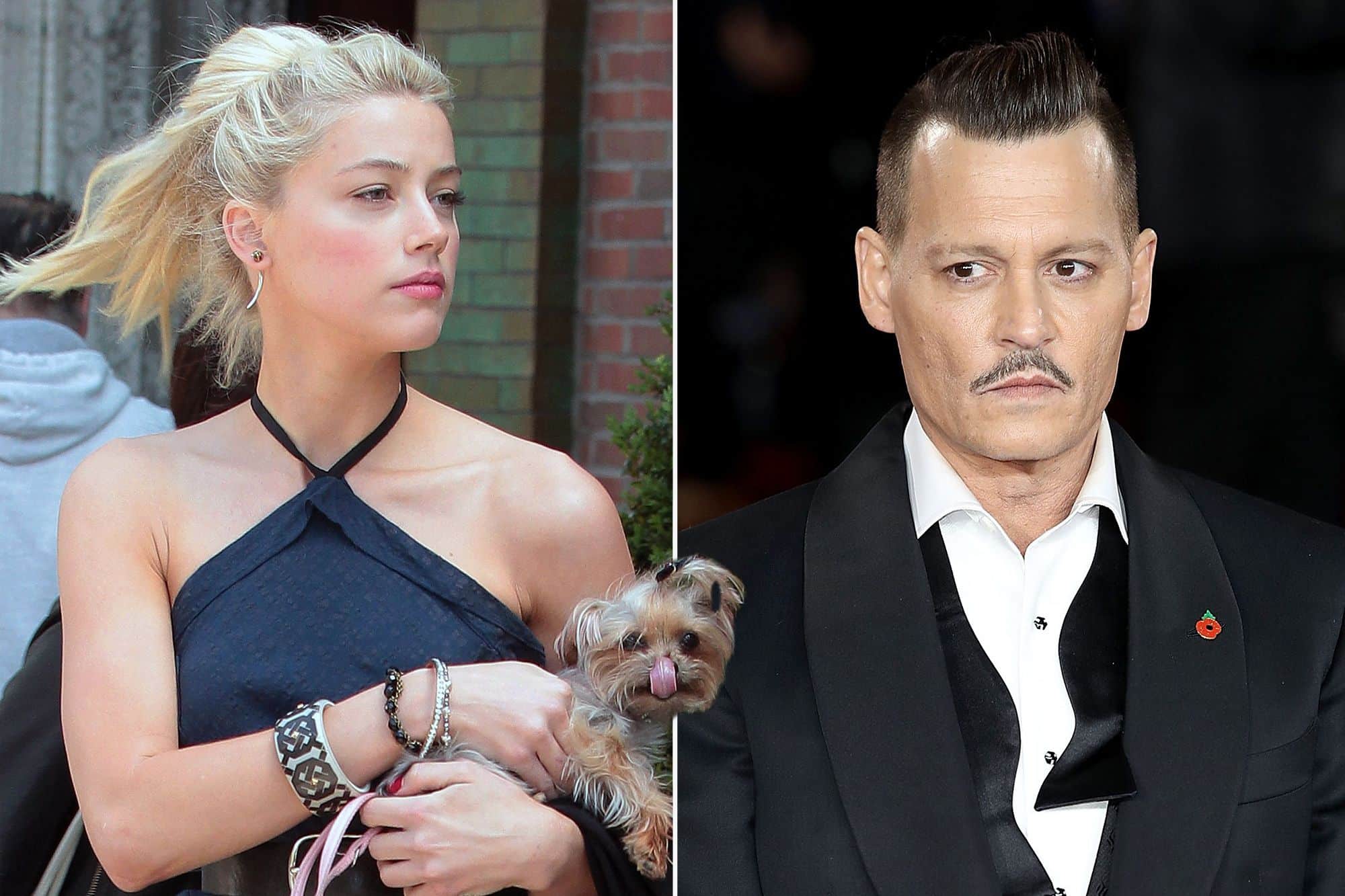 Here Is The Photo Of The Poop That Ended Johnny Depp & Amber Heard’s