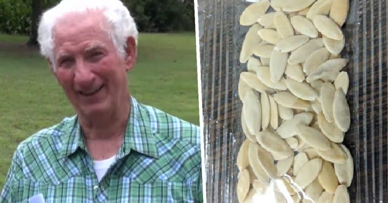 Arkansas Man Plants Mysterious Seeds From China; Grows Massive Unstoppable Fruit