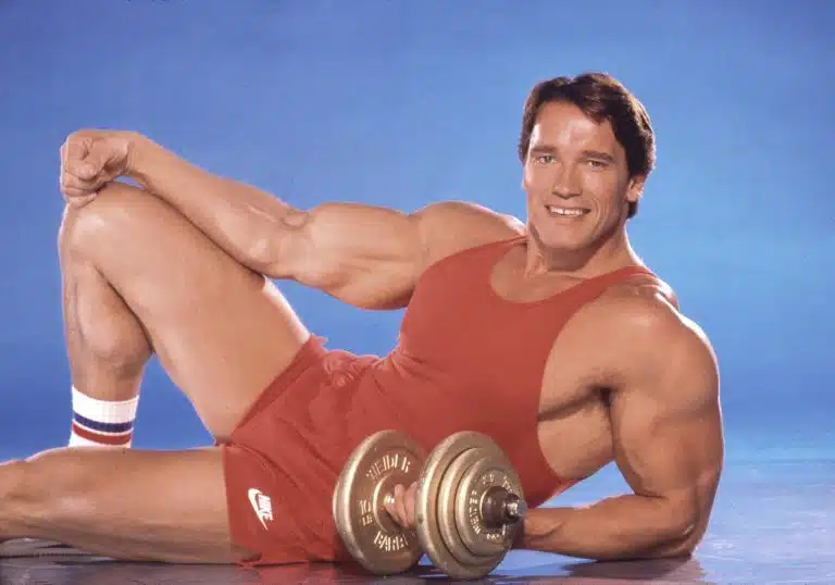 Arnold Schwarzenegger Demolishes Troll Who Called Him A ‘Snowflake’ On Facebook