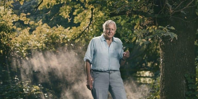 The Trailer For David Attenborough’s New Documentary ‘Extinction: The Facts’ Has Just Dropped