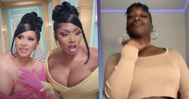 People Are Absolutely Loving Graphic Sign Language Performances Of WAP