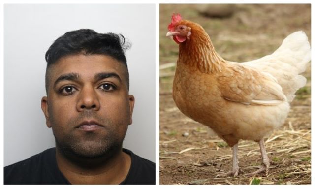 Man Killed His Pet Chickens By Having Sex With Them As His Wife Filmed â€“  Sick Chirpse
