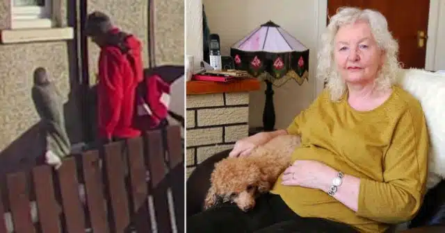 Postman Who Left OAP, 72, In The Snow Still ‘Doesn’t Think He Has Done Anything Wrong’