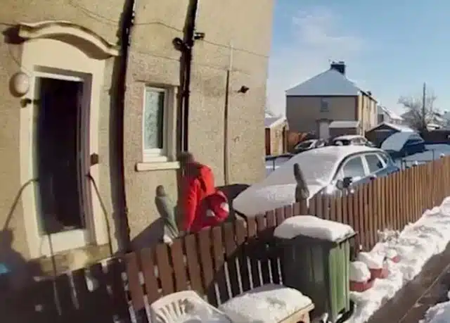 Postman Leaves OAP, 72, Lying In Snow Because He’s “Too Knackered” To Help