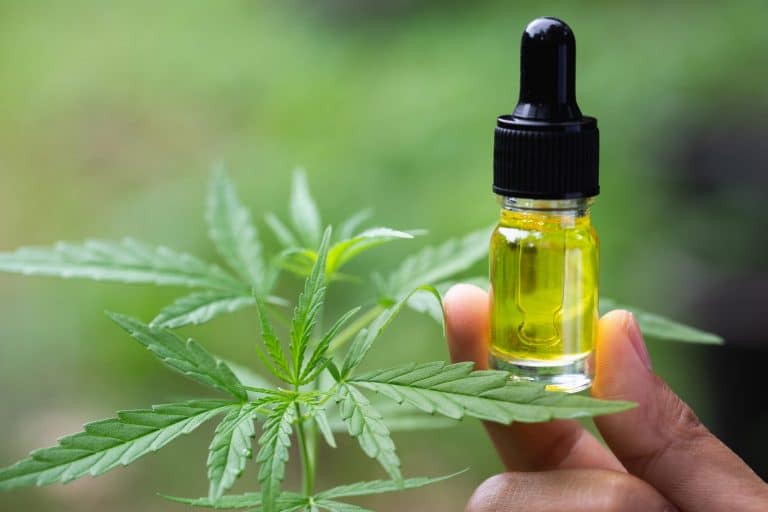 6 Common Myths About the Best CBD Oil