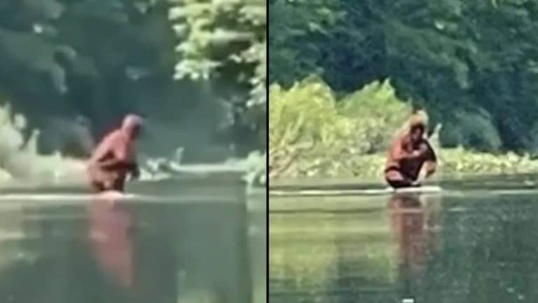 Here’s Another Bigfoot Sighting That Has Left Viewers Baffled