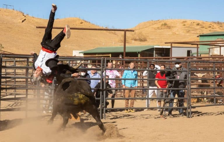 The First Trailer To ‘Jackass Forever’ Has Finally Been Released