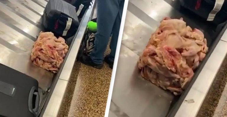 A Gross Cube Of Raw Meat Ended Up On An Airport Baggage Carousel