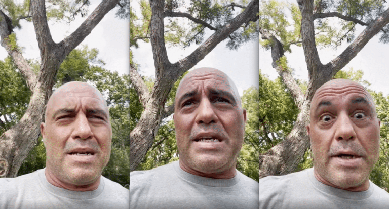 Joe Rogan Reveals He Had COVID-19; Used Horse Dewormer To Beat It In Four Days