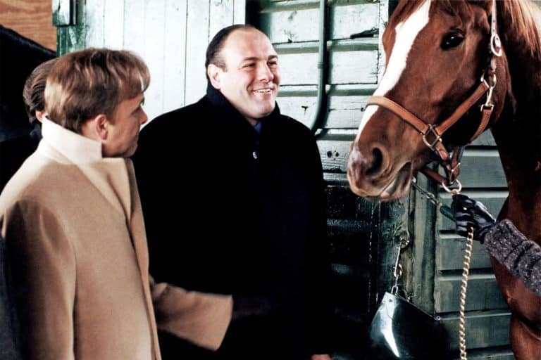 Tony Soprano’s Beloved Horse Pie-O-My Has Died At 23 Years Of Age