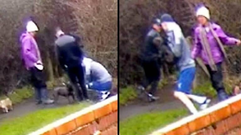 Watch These Dognappers Stroke A French Bulldog Before Stealing It In Broad Daylight