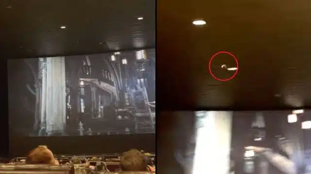 Someone Released A Live Bat In A Cinema During A Showing Of ‘The Batman’ As A Prank