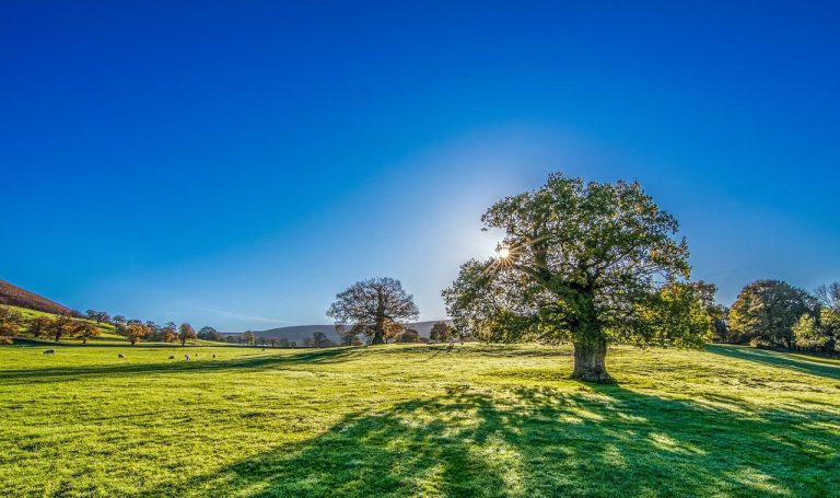 7 Cool Ways To Beat The Heat This Summer