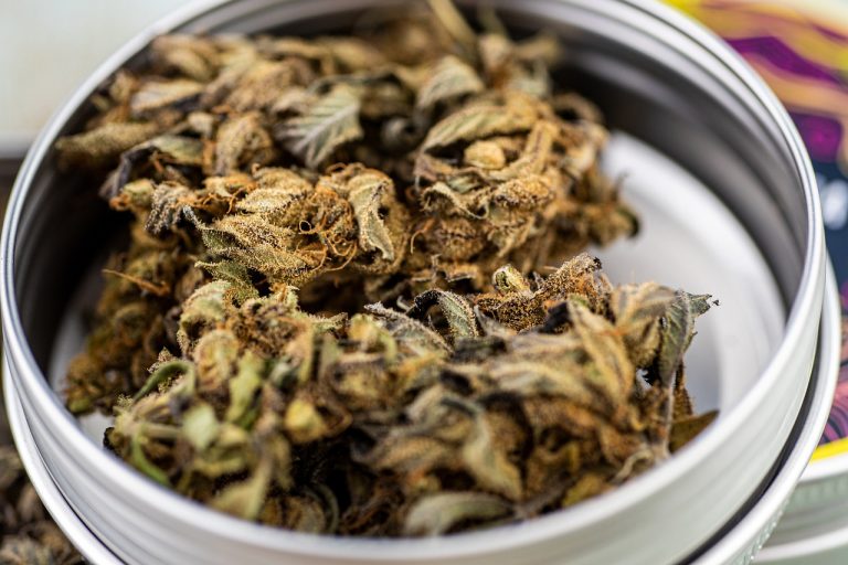 Where Can You Buy Weed In Maple Ridge?