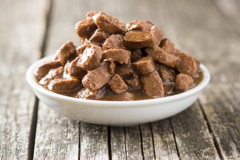 Uni Student Eats Free Dog Food For Breakfast, Lunch And Dinner Every Day