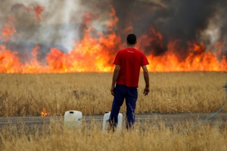 Watch A Spanish Man Escape His Burning Tractor In Terrifying Wildfire Footage
