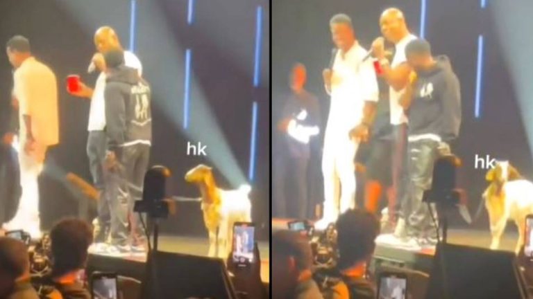 Kevin Hart Gifts Chris Rock A Goat On Stage And Calls It ‘Will Smith’