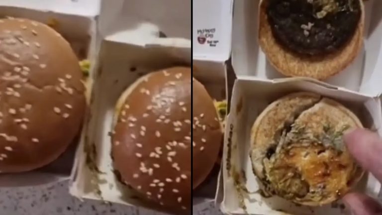 Fresh McDonald’s Big Mac Is Exactly The Same As One Bought Three Months Ago