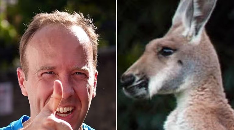 Matt Hancock’s Tory Colleague Is ‘Looking Forward To Seeing Him Eat Kangaroo Penis’