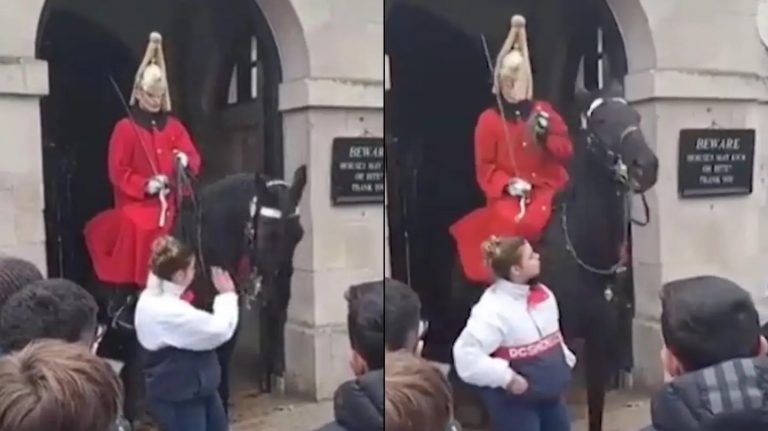 Watch This King’s Guard Scream At Tourist After Repeatedly Slapping Horse