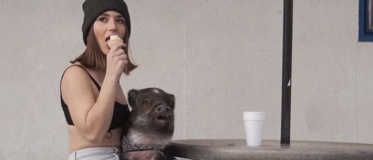 Influencer Teaches Pet Pig To Speak And Now Cuddles In Bed With Her