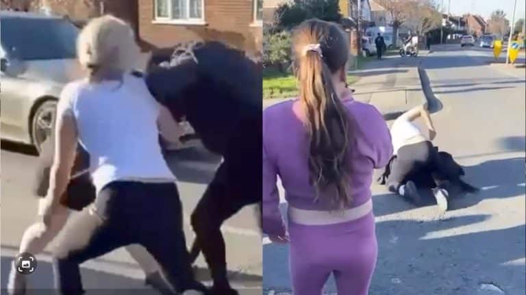 Shocking Video Of Racist Attack By Mother And Her Family On Schoolgirl Goes Viral