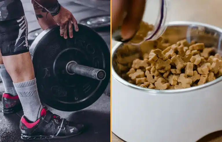 Meathead Gym Bros Are Now Eating Dog Food Due To Its High Protein Content