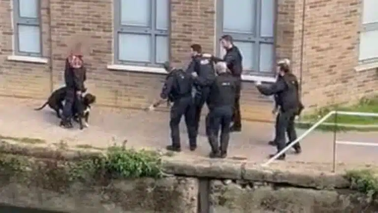 Petition Calling For Charges Against Met Police’s ‘Barbaric’ Killing Of Two Dogs Hits 100,000 Signatures