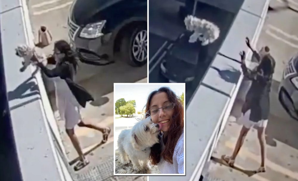 Woman Throwing Dog Garage
