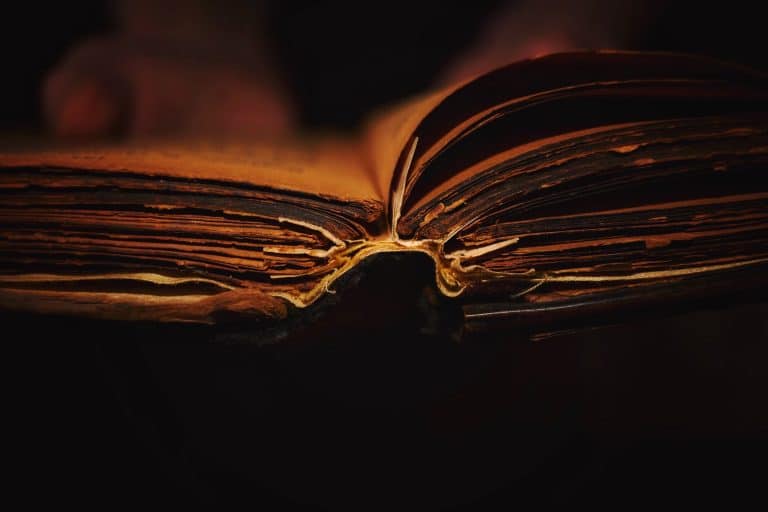Ever Wonder Why You Like the Smell of Books?
