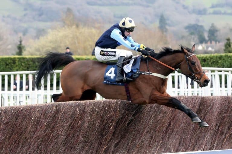 Key Trends For The Queen Mother Champion Chase