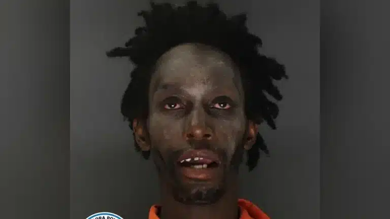 Transgender Zombie Sex Offender Arrested For Attempted Kidnapping At School