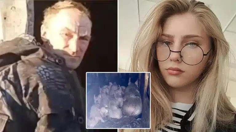 Girl, 17, Mauled To Death By Pigs After ‘Neighbour Knocked Her Out After Row’