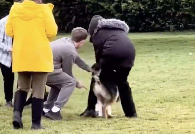 It Worked: Man Uses Incredible Technique To Save Small Dog From German Shepherd Attack In London Park