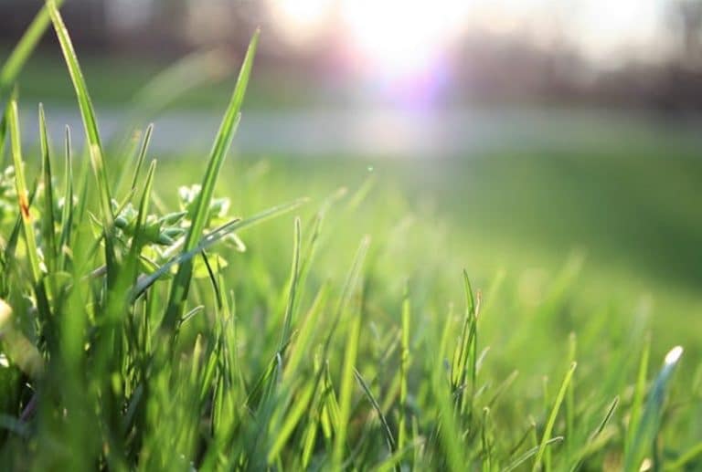 3 Strategies For Refreshing Your Home’s Front