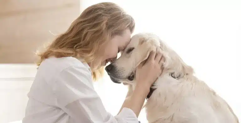 Scientists Have Developed A Pill That Can Extend The Lifespan Of Dogs For Years