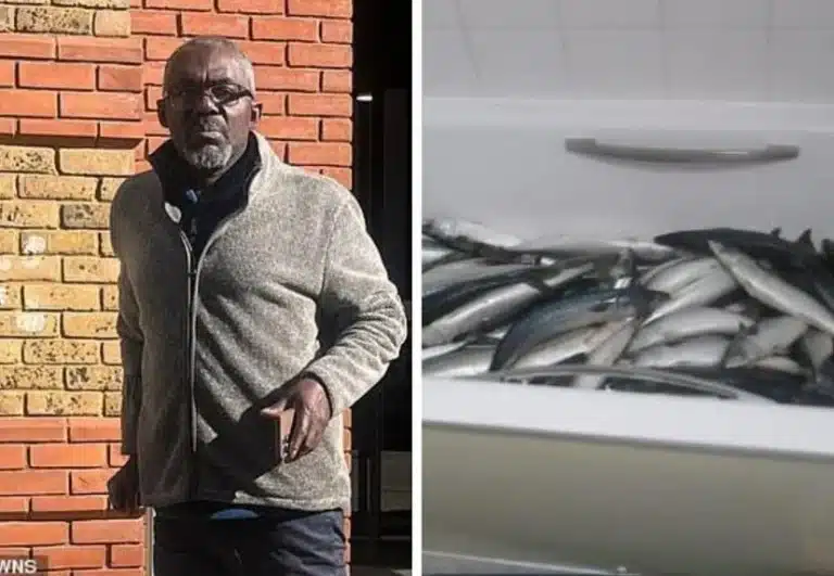 Businessman Kept Fish In Bath Next To His Toilet Before Selling It In Ready Meals To Supermarket