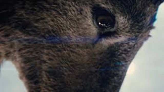 First Look At The Alien In Steven Spielberg’s ‘DISCLOSURE DAY’