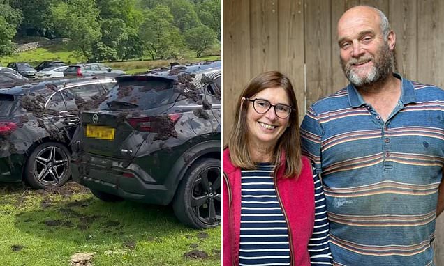 Furious Farmer Sprays Dozens Of Luxury Cars With Thick Cow Slurry After Illegally Parking In His Field