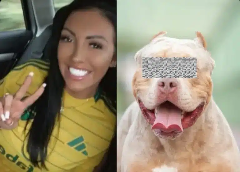 Webcam Model In Court Accused Of Having Sex With Her XL Bully Dog