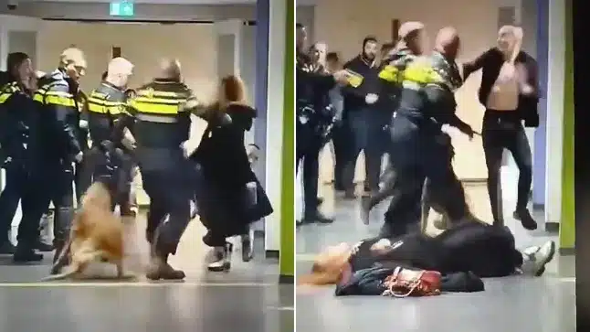 Police Under Investigation After Throwing Heavily Pregnant Woman To The Ground